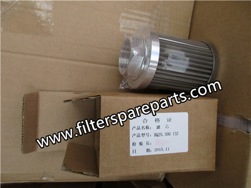 HQ25.300.13Z Harbin Steam Turbine Filter